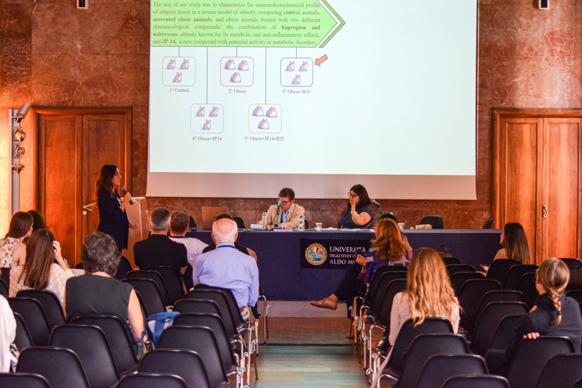 Foto 11/06